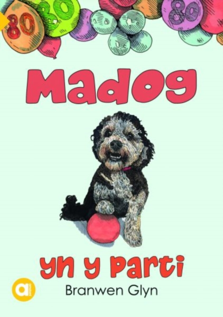 Kniha Cyfres Amdani: Madog yn y Parti