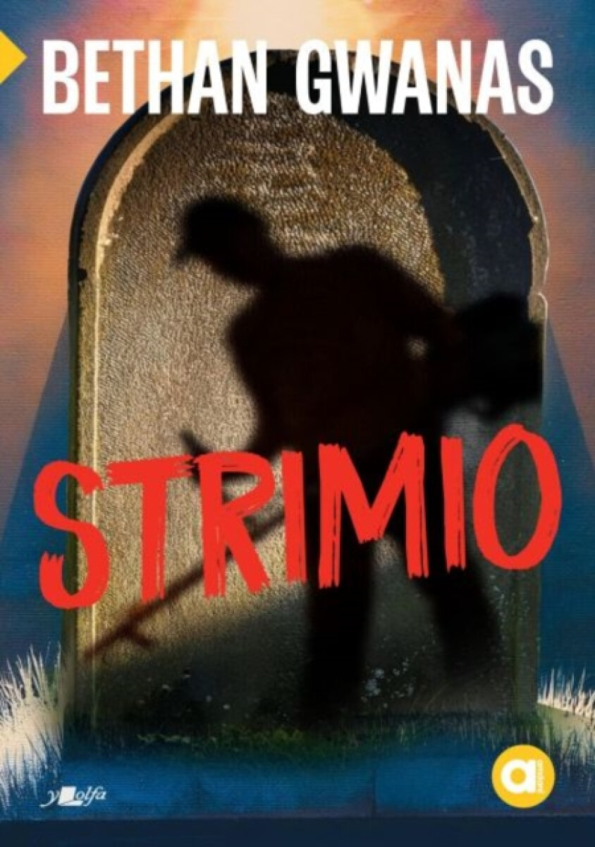 Kniha Cyfres Amdani: Strimio