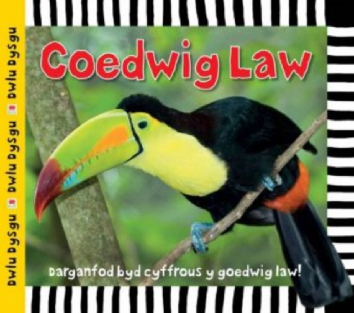 Kniha Cyfres Dwlu Dysgu: Coedwig Law