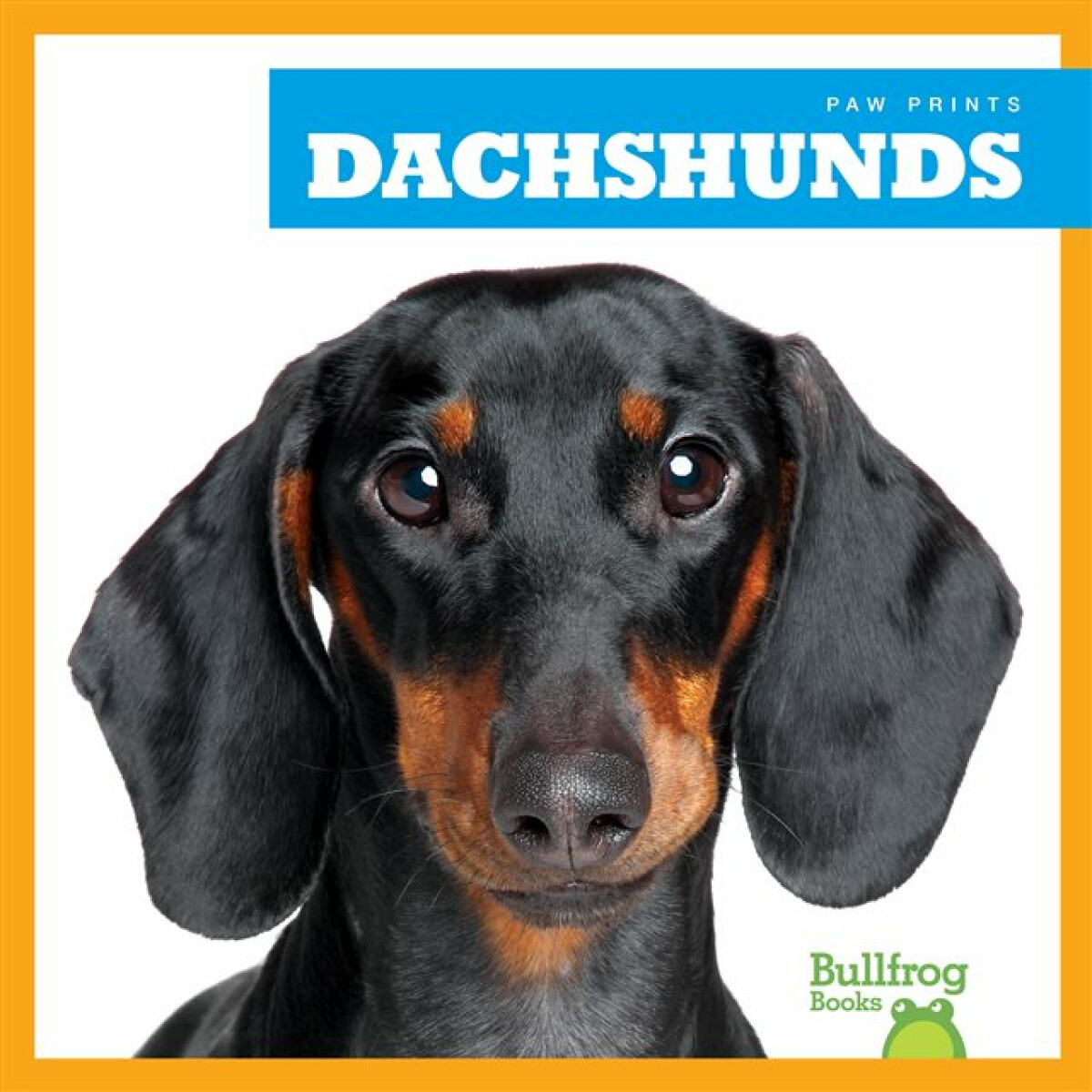 Kniha Dachshunds