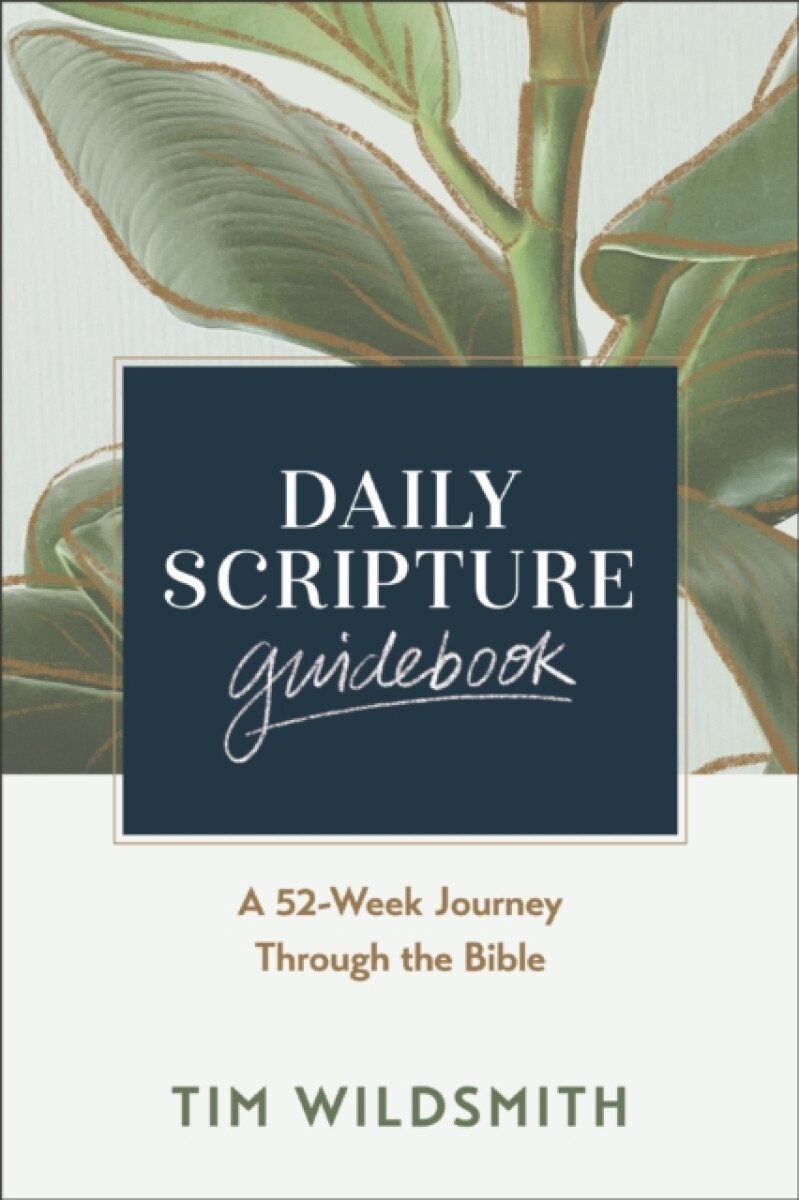 Kniha Daily Scripture Guidebook