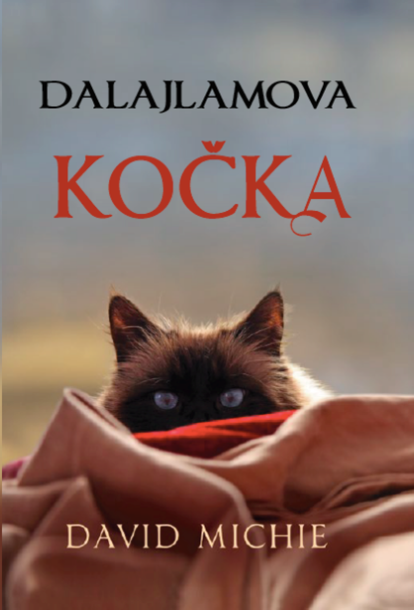 Levně Dalajlamova kočka - David Michie