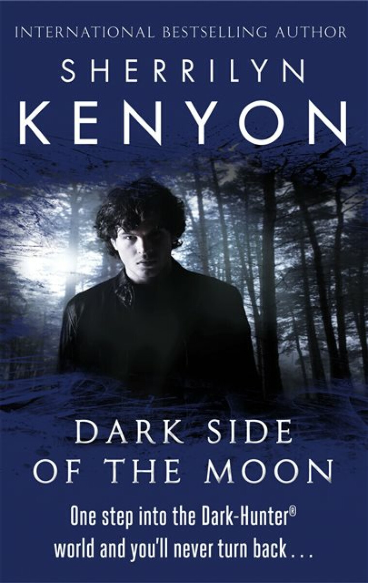 Kniha Dark Side of the Moon