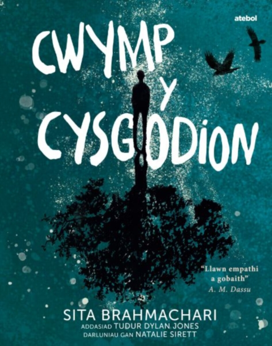 Kniha Darllen yn Well: Cwymp y Cysgodion