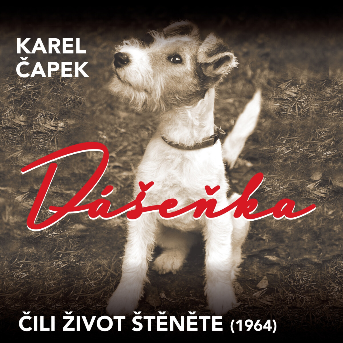 Levně Dášeňka čili život štěněte (1964) - Karel Čapek - audiokniha