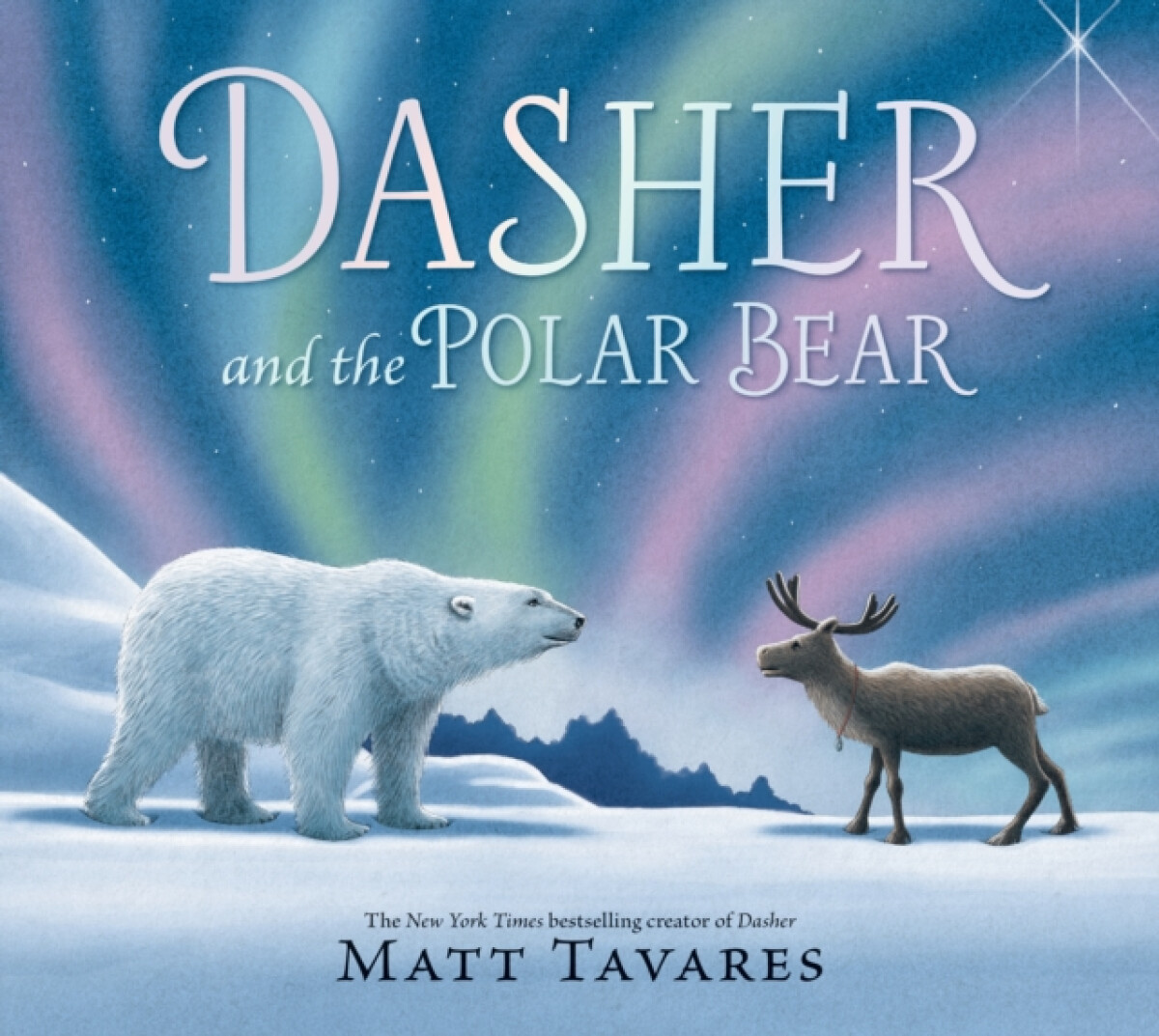 Kniha Dasher and the Polar Bear