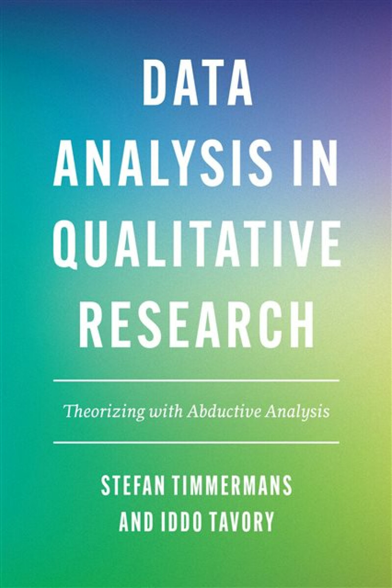 Kniha Data Analysis in Qualitative Research