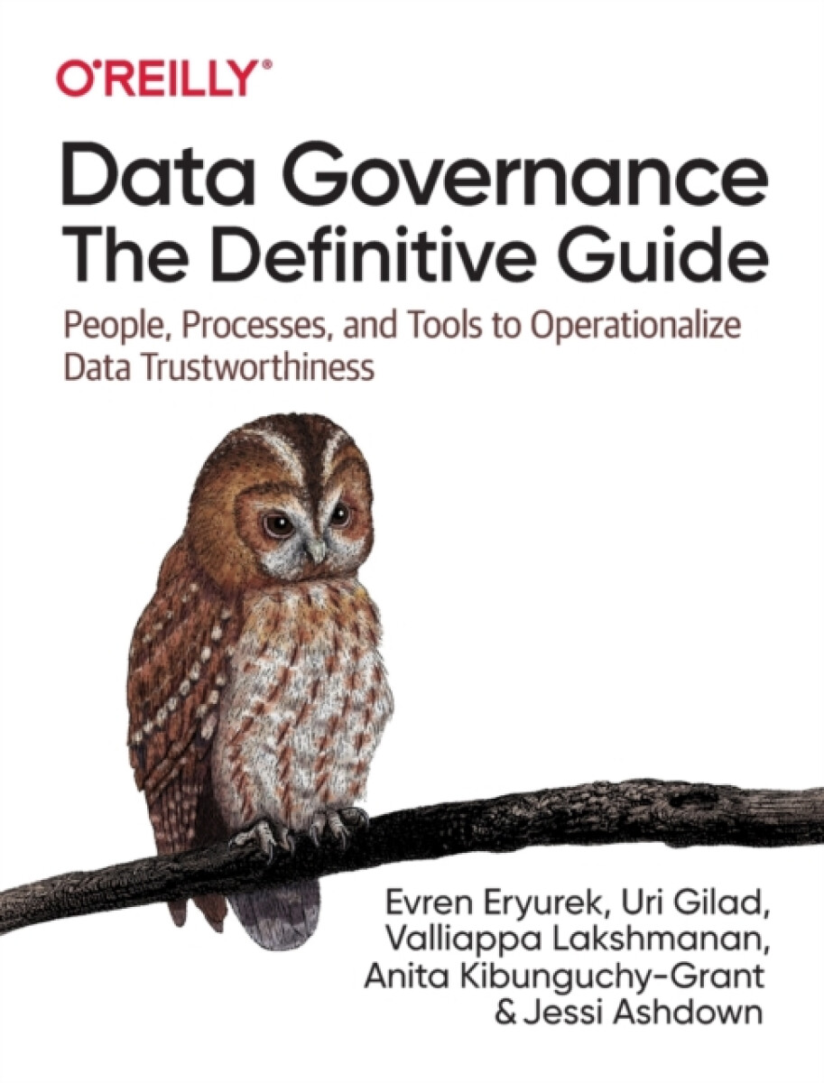 Kniha Data Governance: The Definitive Guide