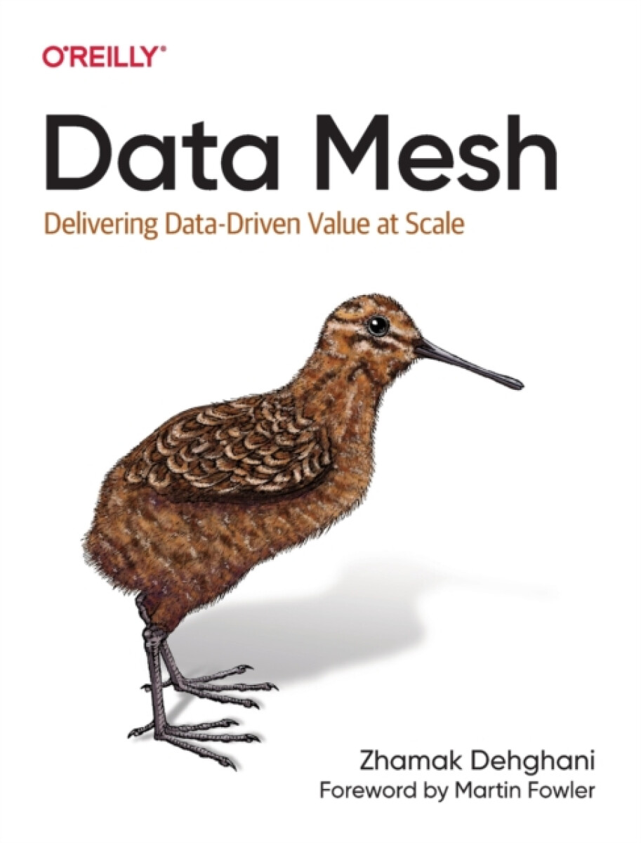 Kniha Data Mesh