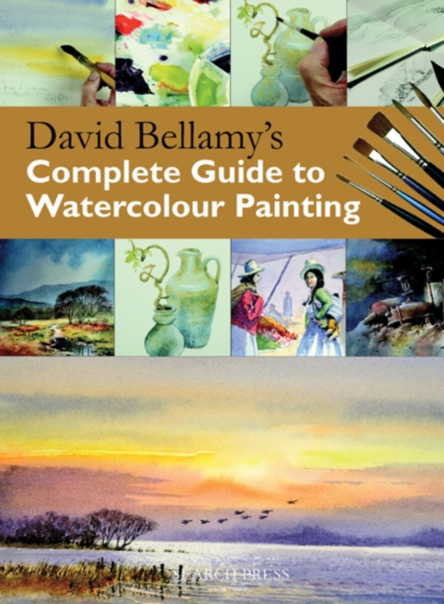 Kniha David Bellamy's Complete Guide to Watercolour Painting