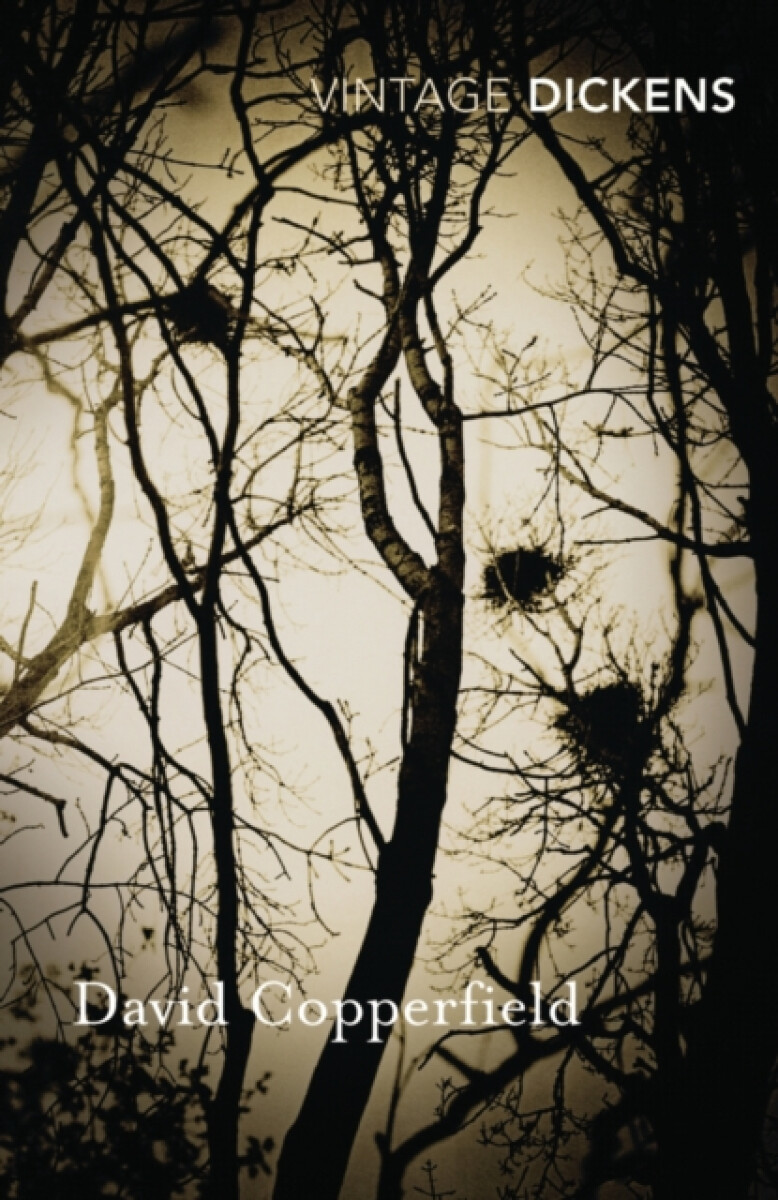 David Copperfield koupíte na Knihydobrovsky.cz