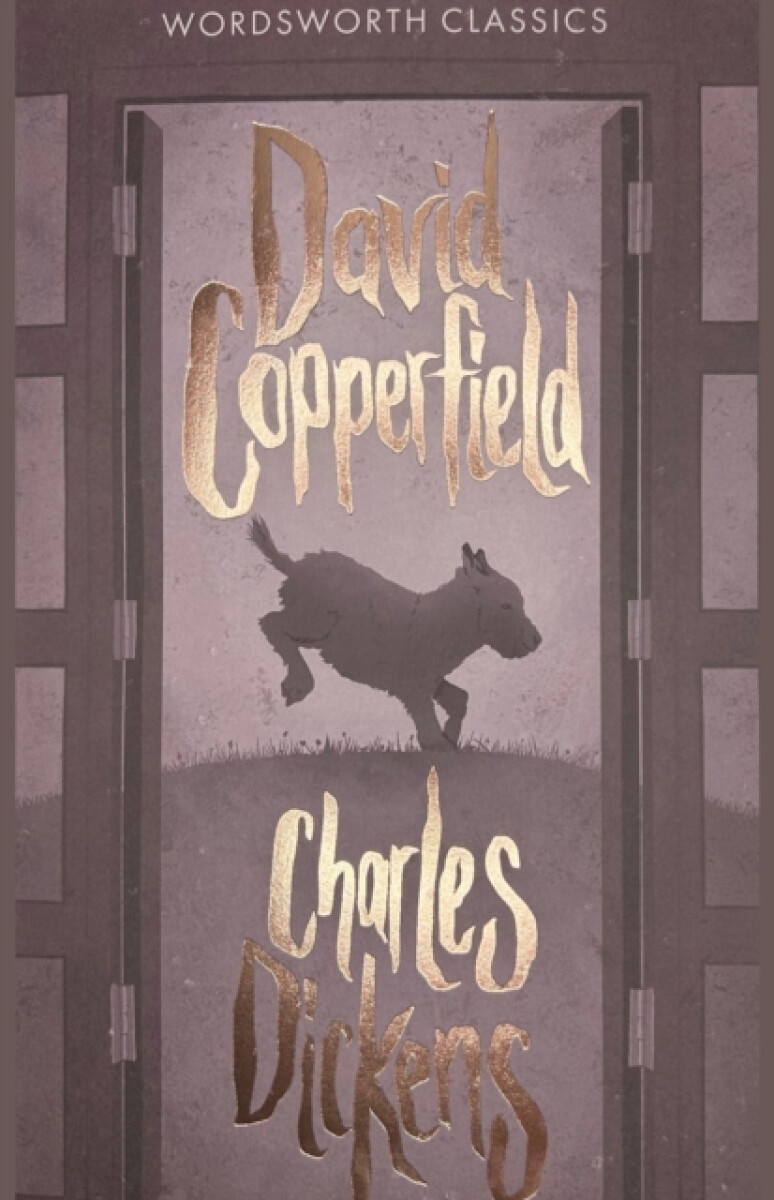 Kniha David Copperfield