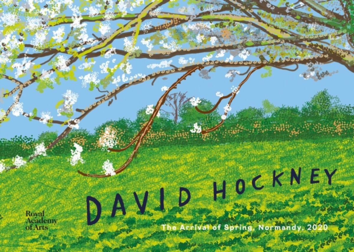 Kniha David Hockney