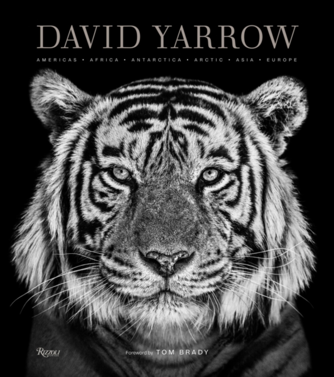 Kniha David Yarrow Photography