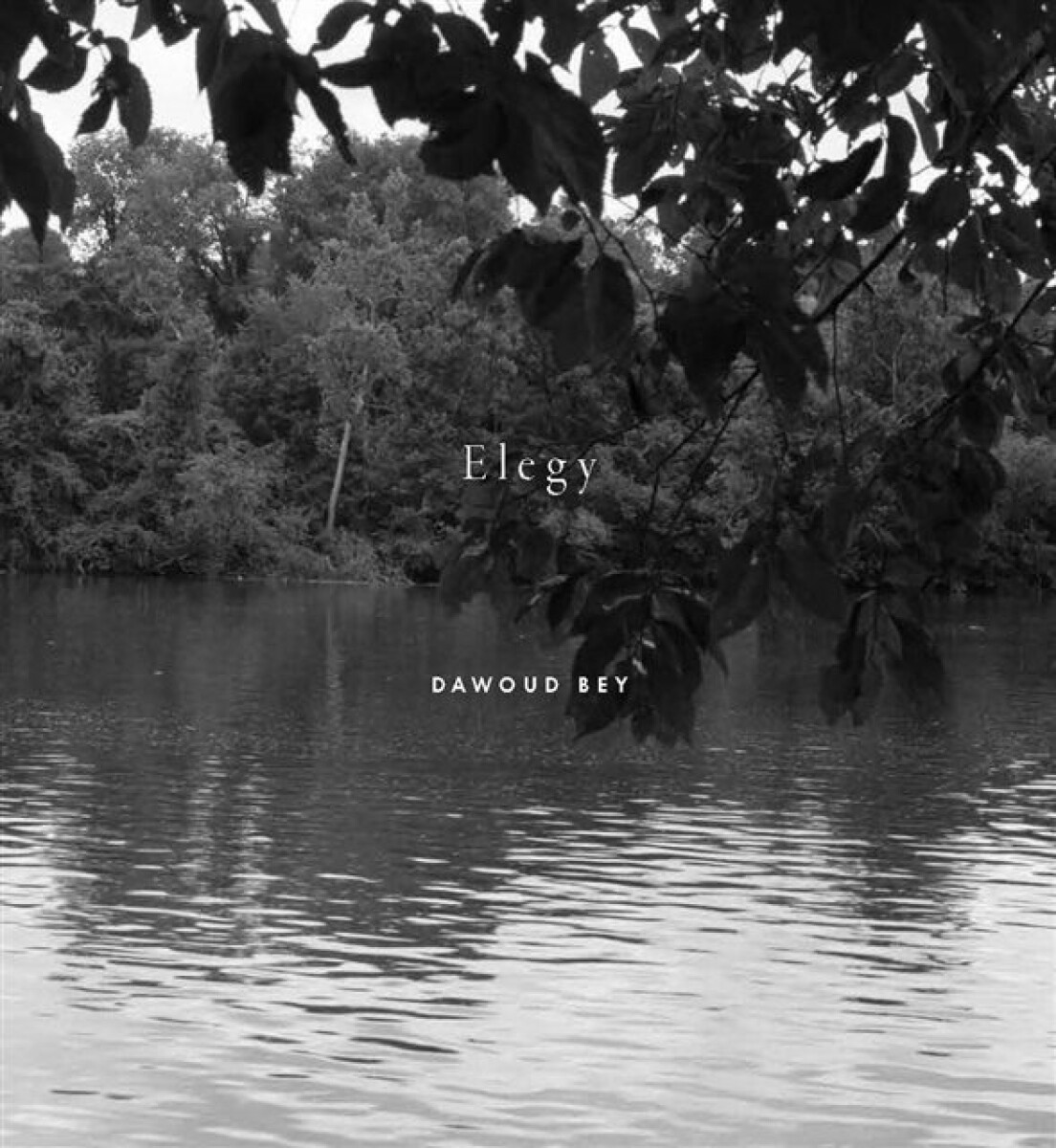 Kniha Dawoud Bey: Elegy