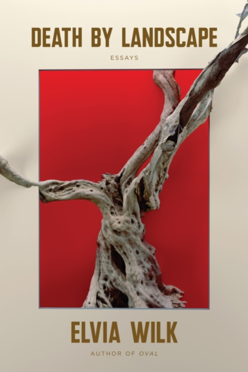 Kniha Death by Landscape