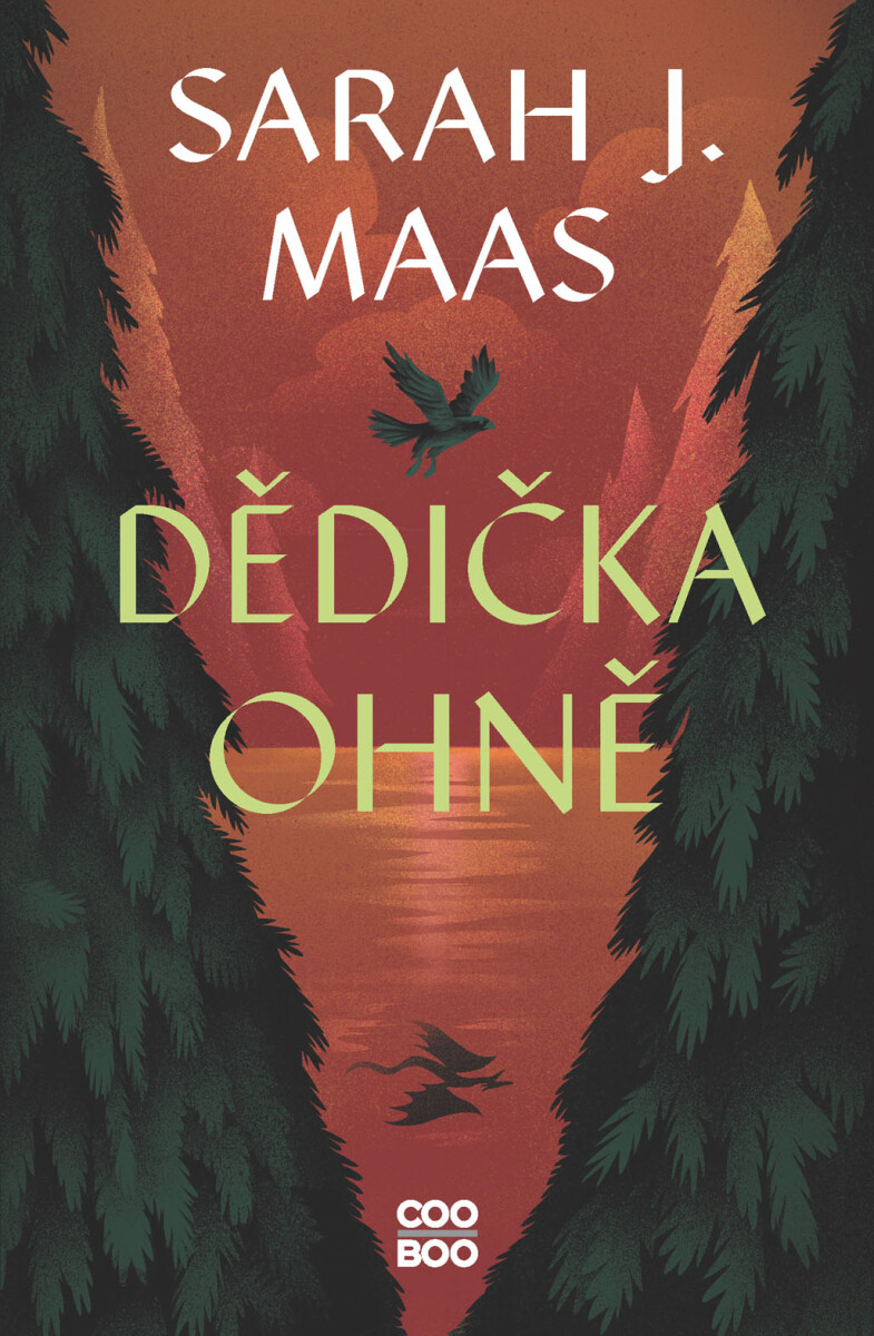 Levně Dědička ohně - Sarah J. Maasová