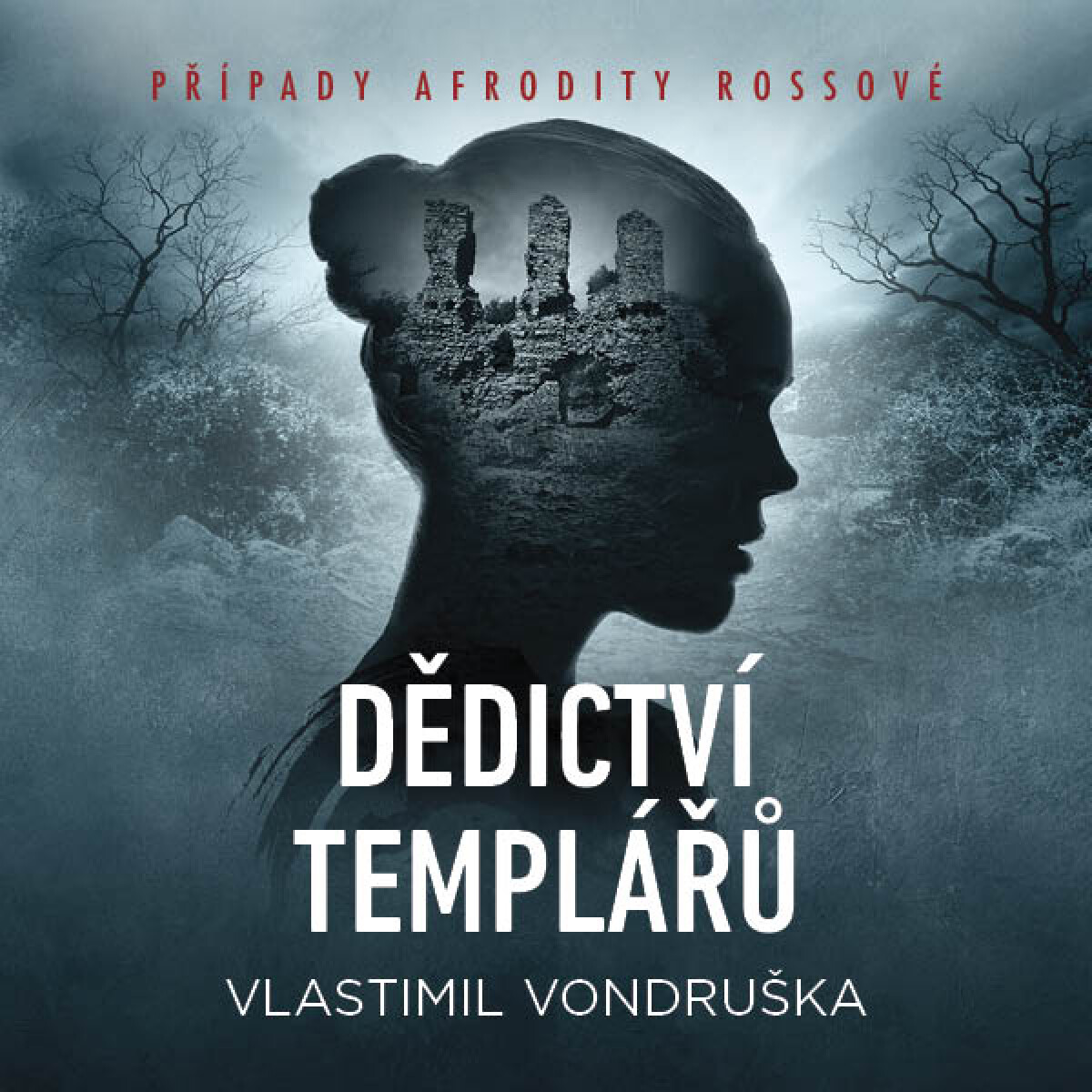 Levně Dědictví templářů - Vlastimil Vondruška - audiokniha