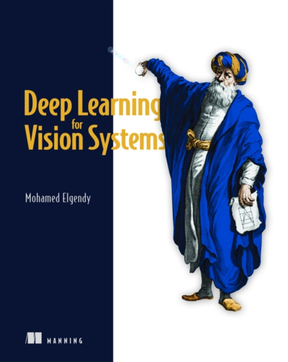 Kniha Deep Learning for Vision Systems