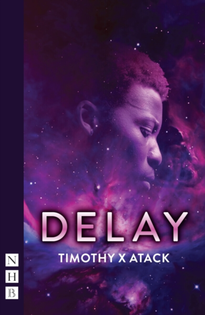 Kniha DELAY