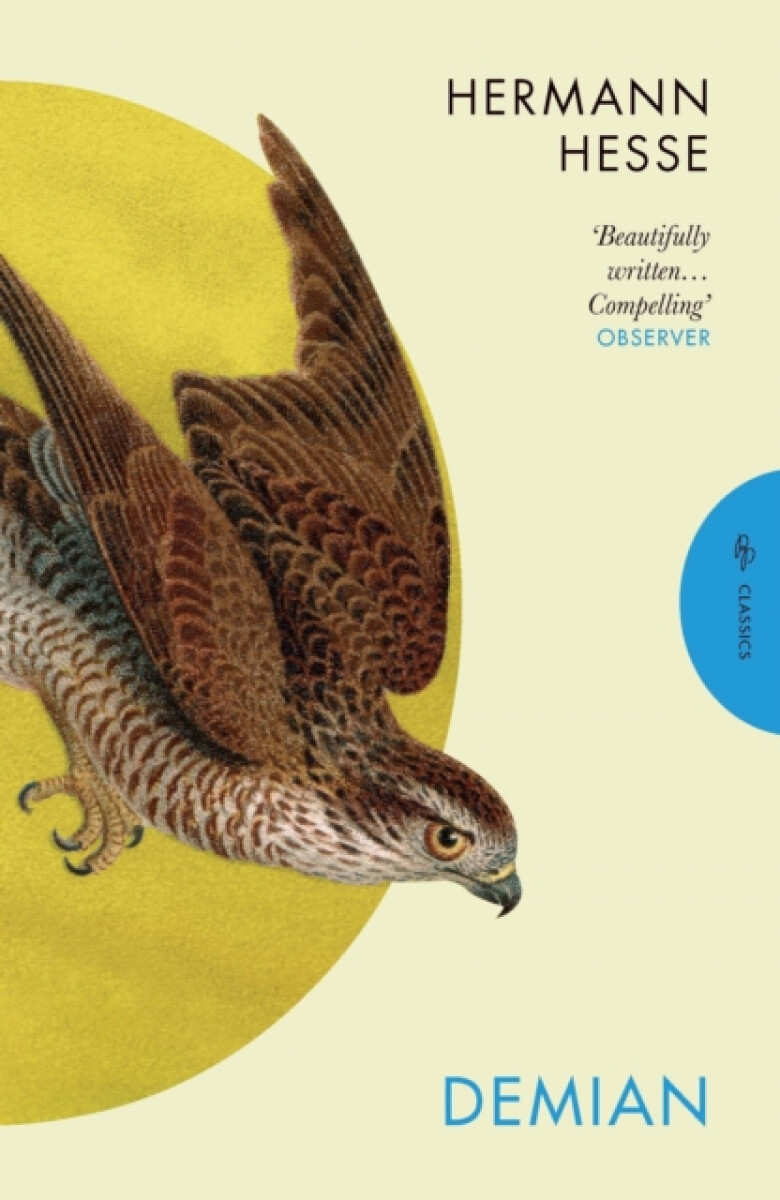 Kniha Demian