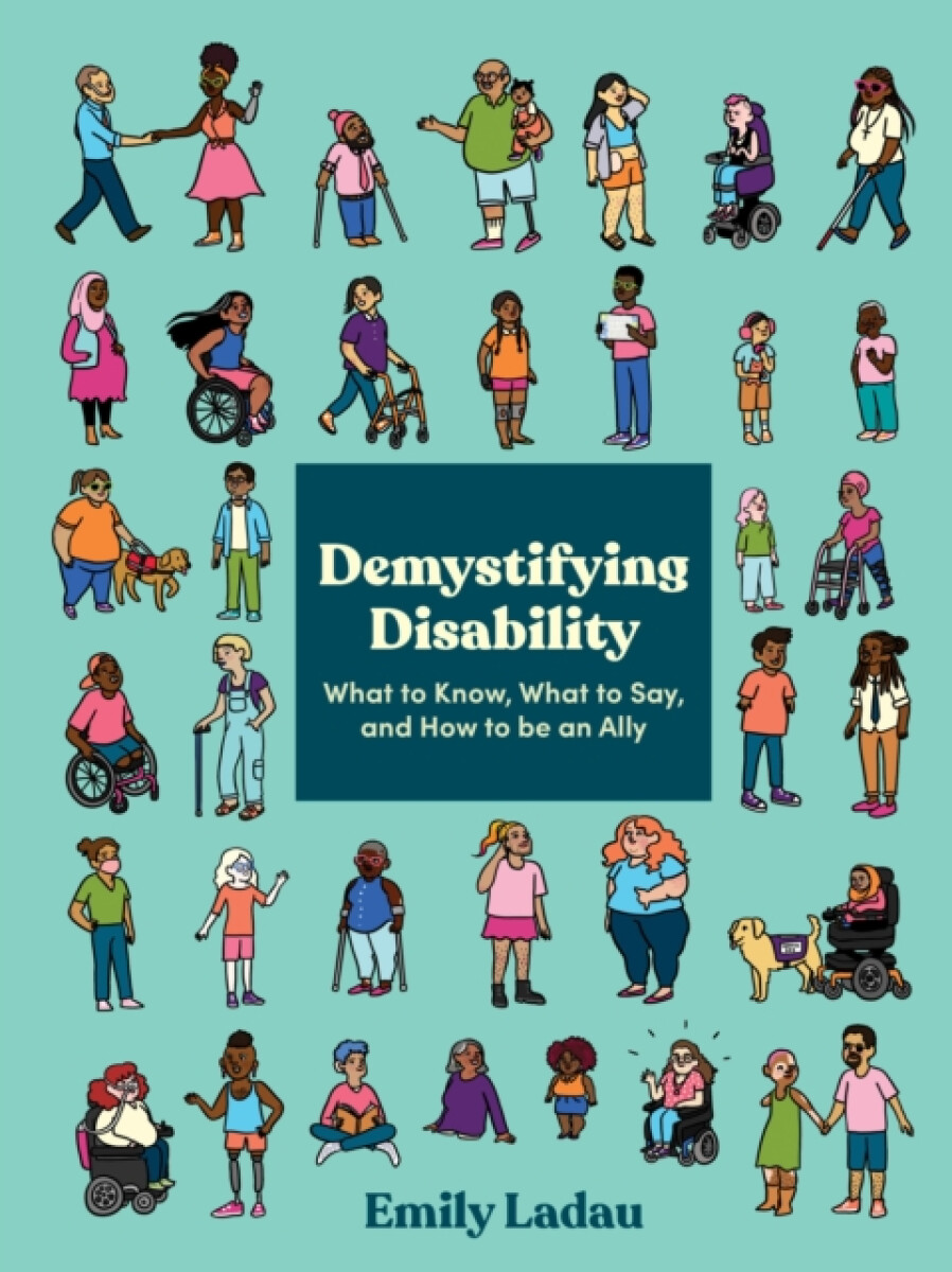 Kniha Demystifying Disability
