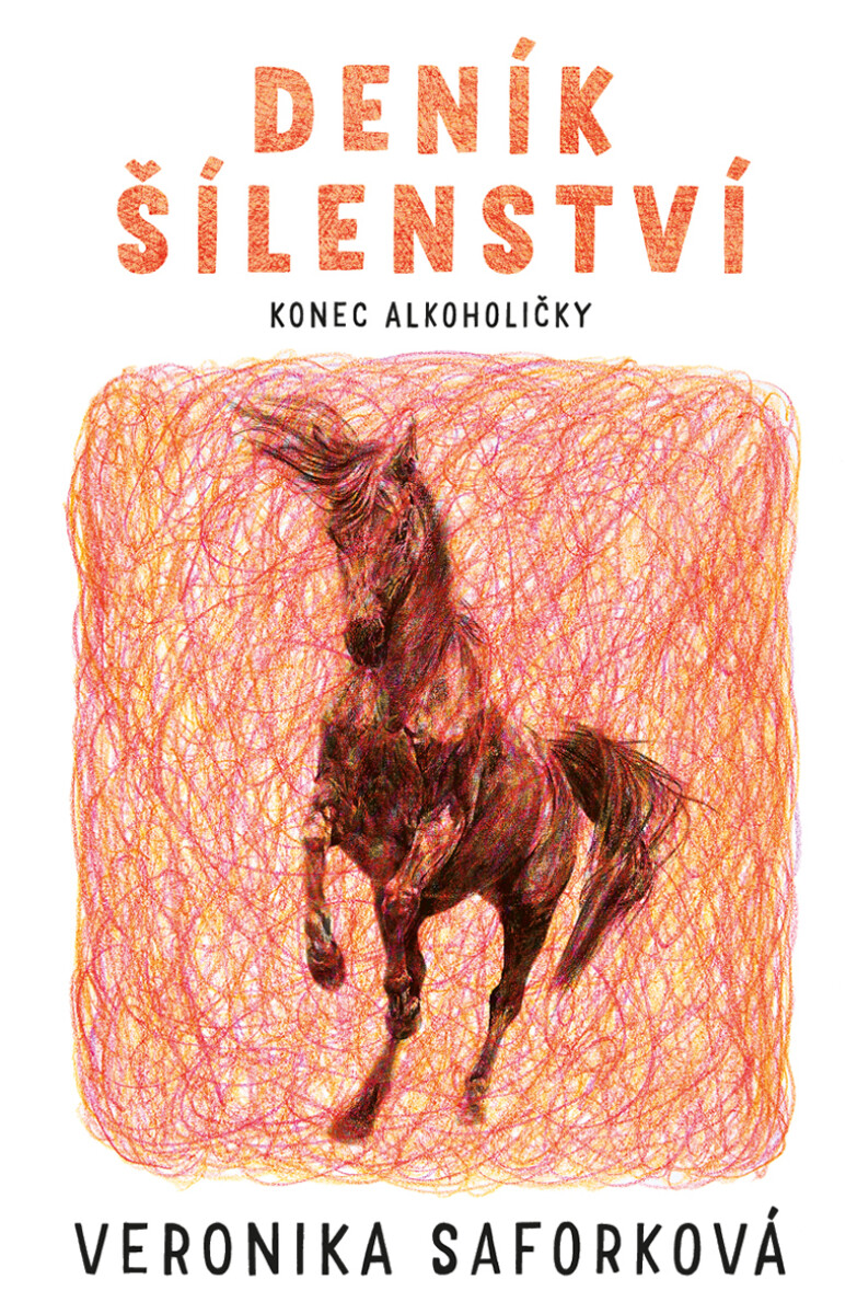 Deník šílenství - Saforková Veronika
