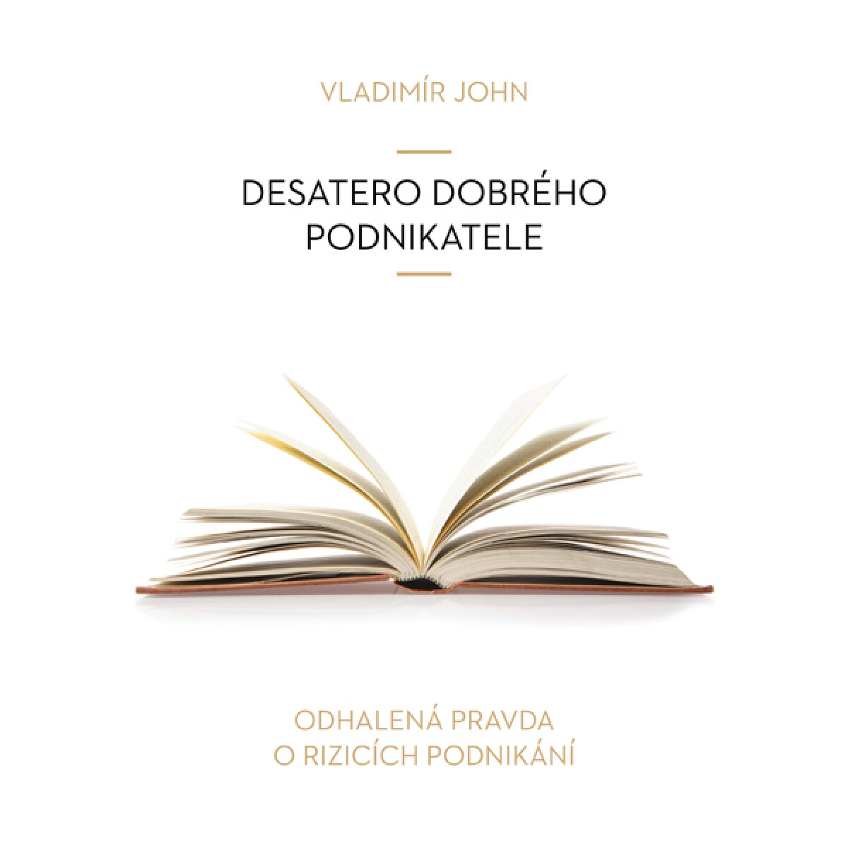 Levně Desatero dobrého podnikatele - Vladimír John - audiokniha