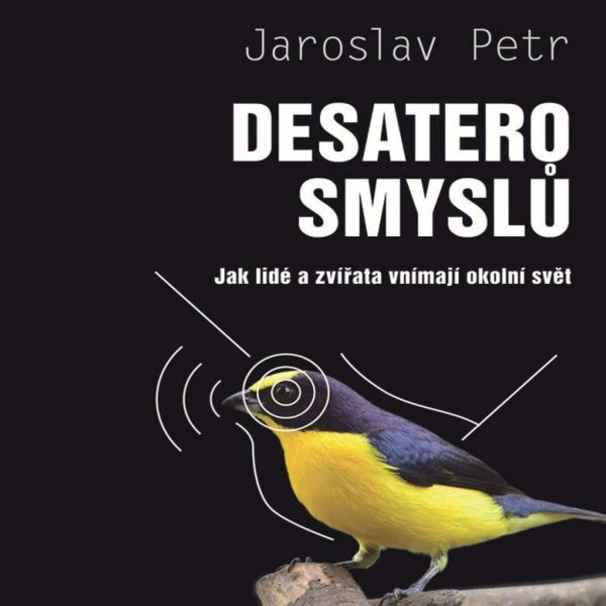 Levně Desatero smyslů - Jaroslav Petr - audiokniha