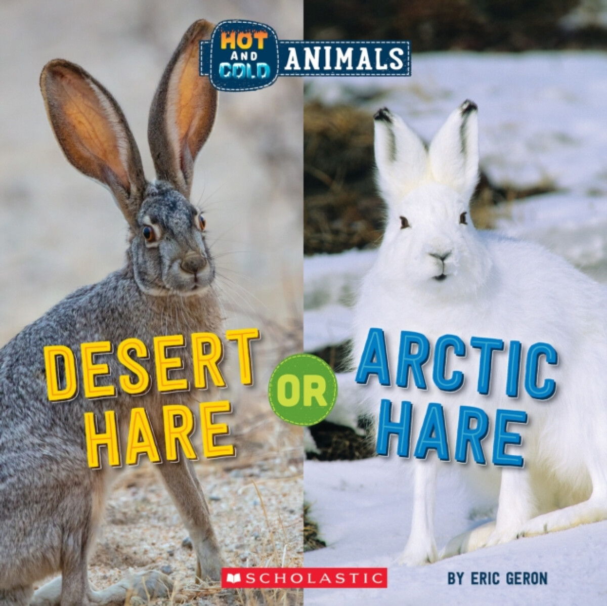 Kniha Desert Hare or Arctic Hare (Wild World: Hot and Cold Animals)