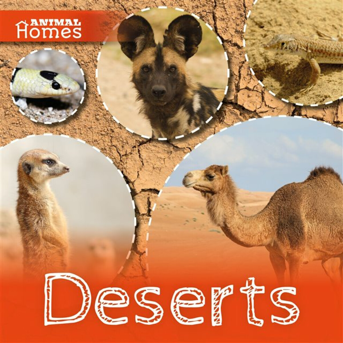 Kniha Deserts