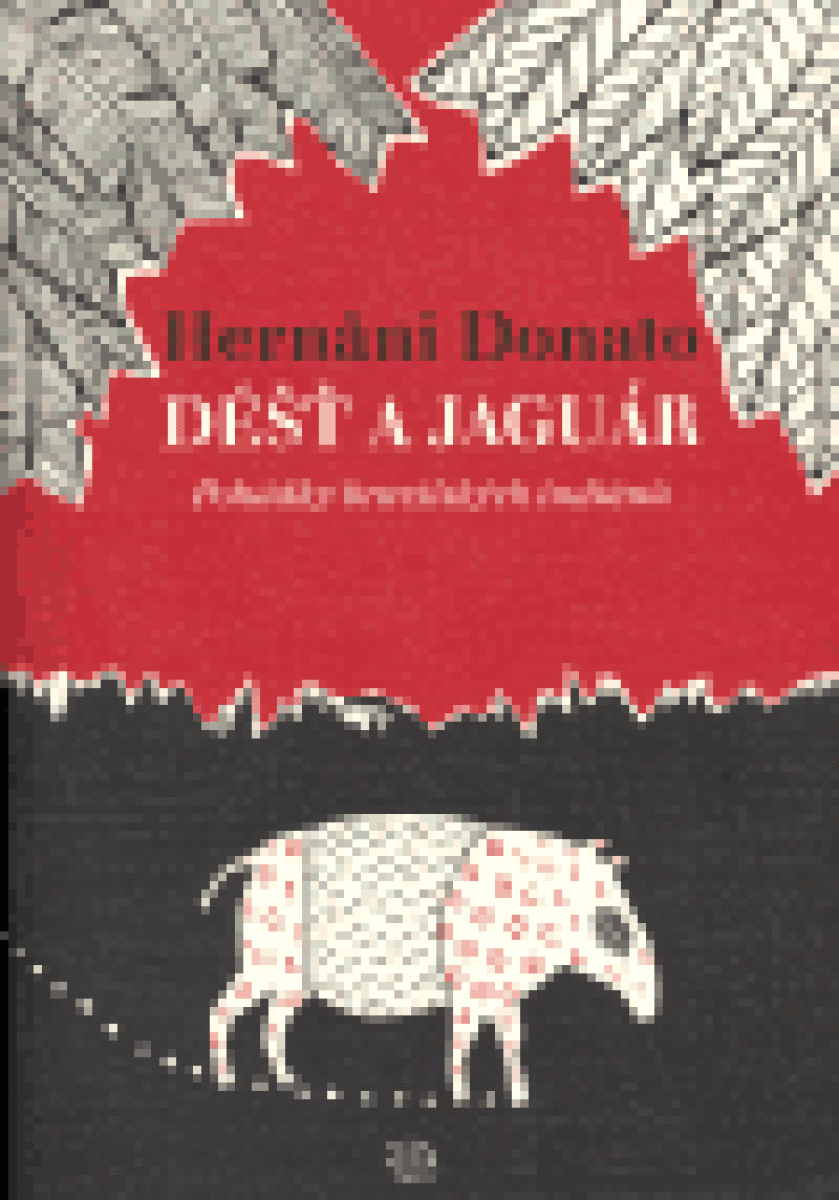 Kniha Déšť a jaguár