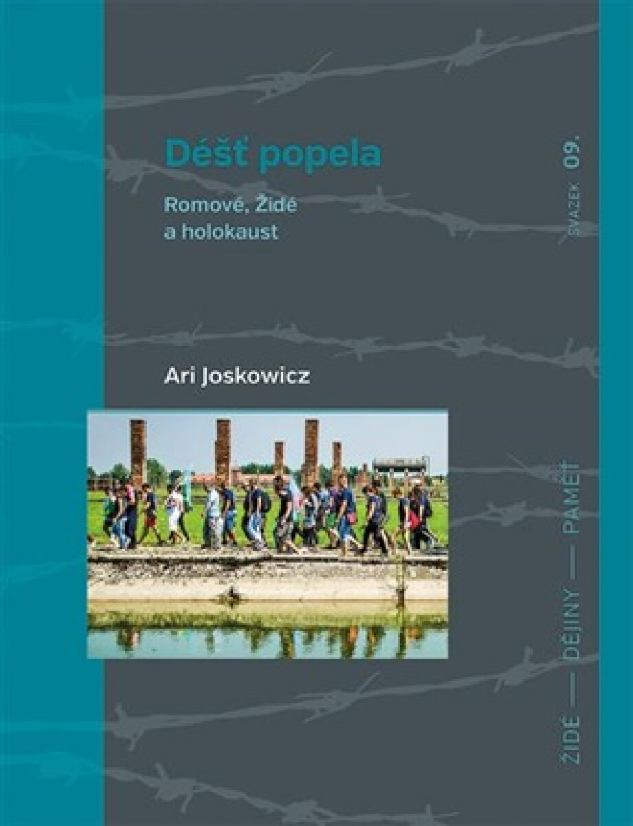 Kniha Déšť popela