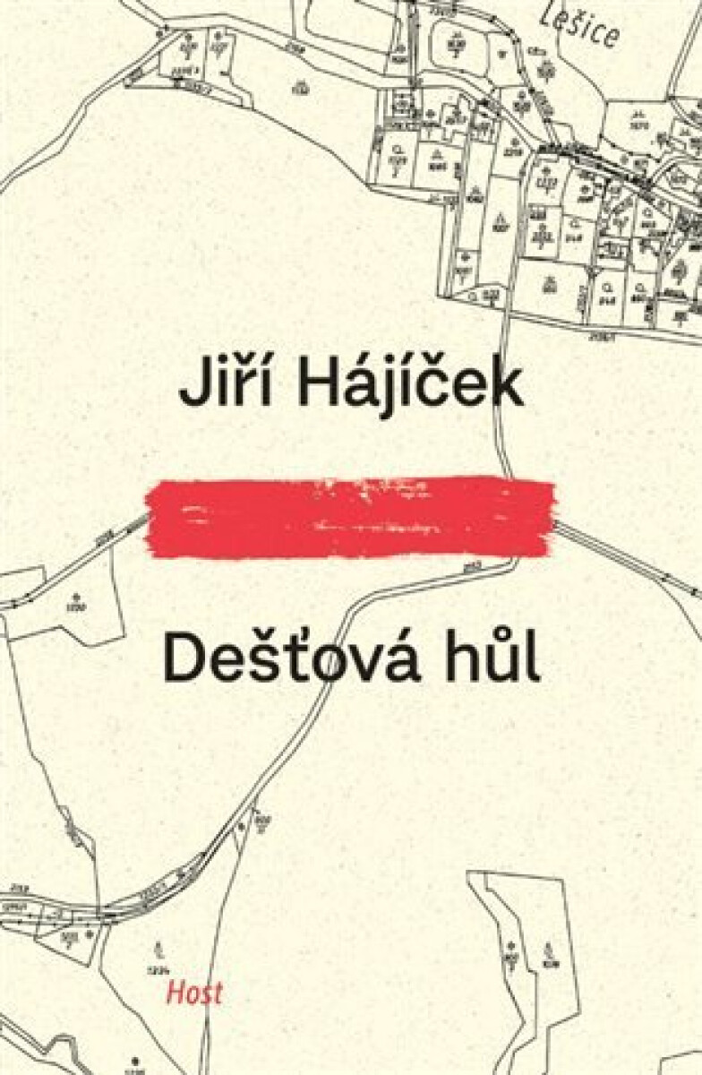 Kniha Dešťová hůl