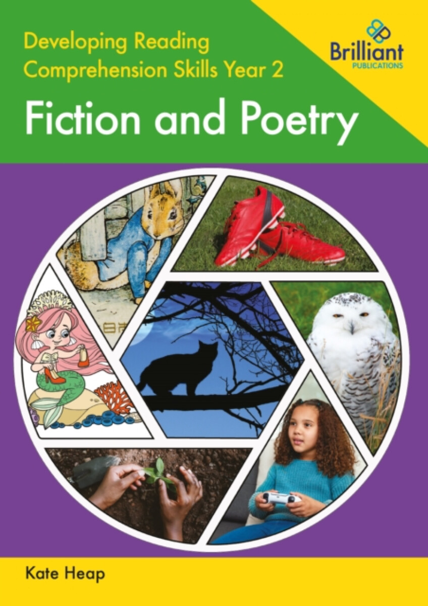 Kniha Developing Reading Comprehension Skills Year 2: Fiction and Poetry