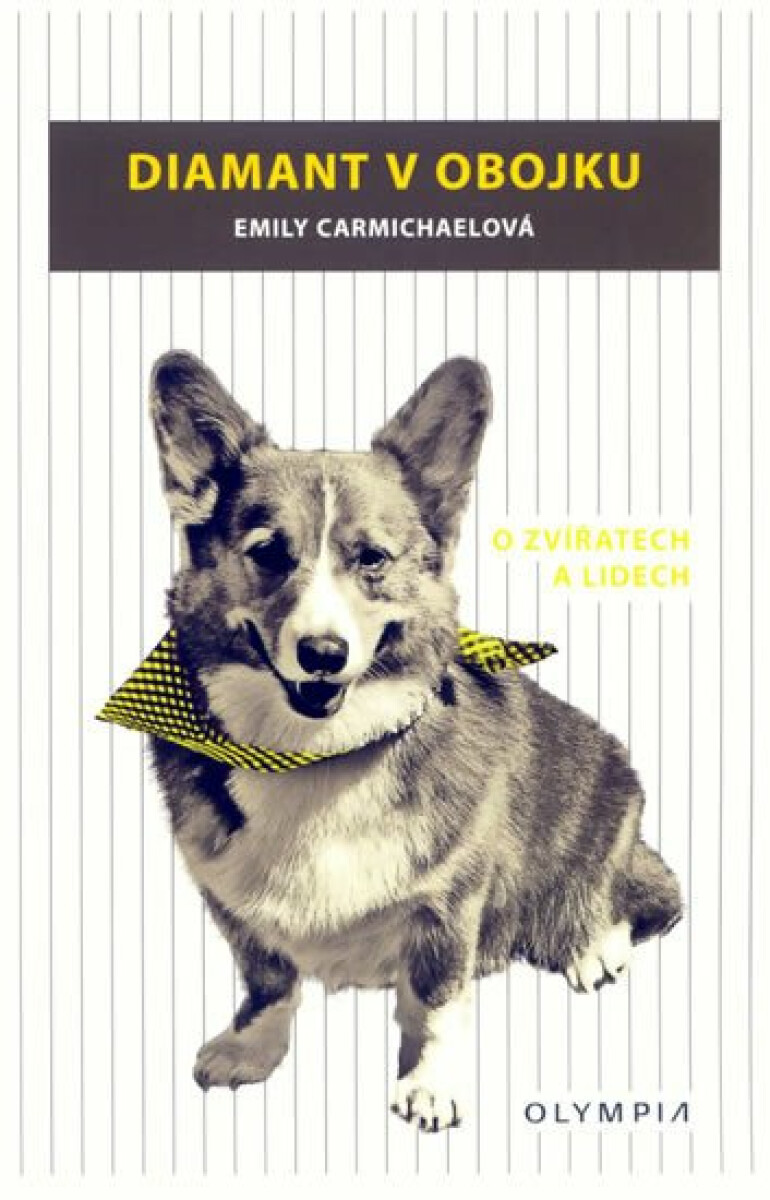 Kniha Diamant v obojku