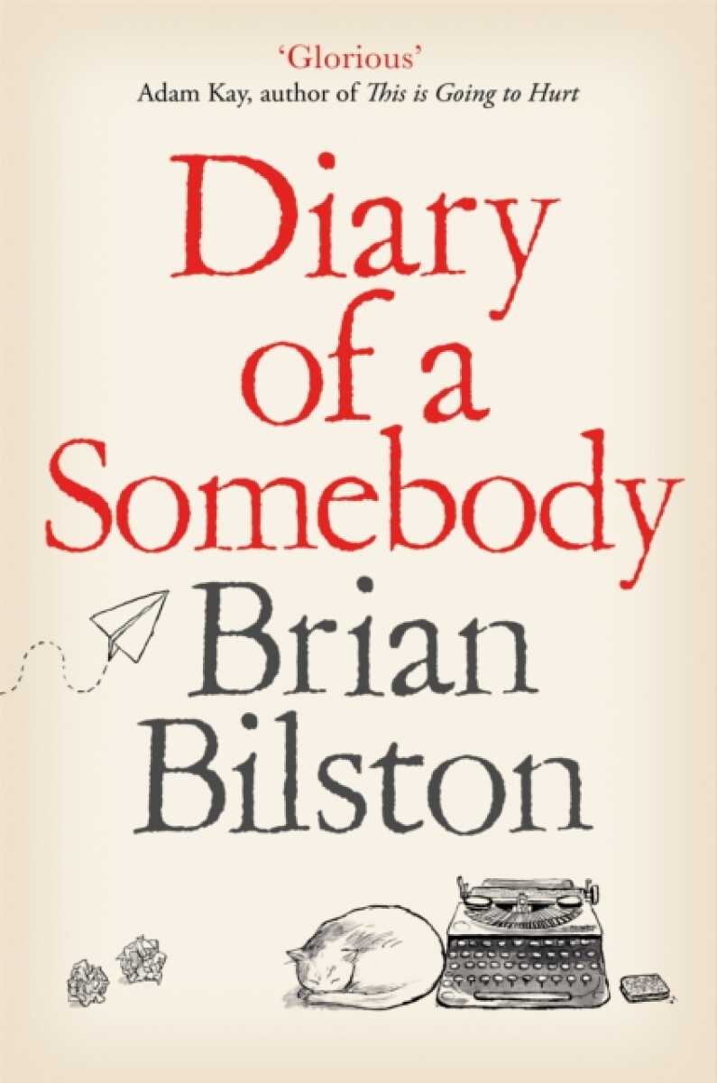 Kniha Diary of a Somebody