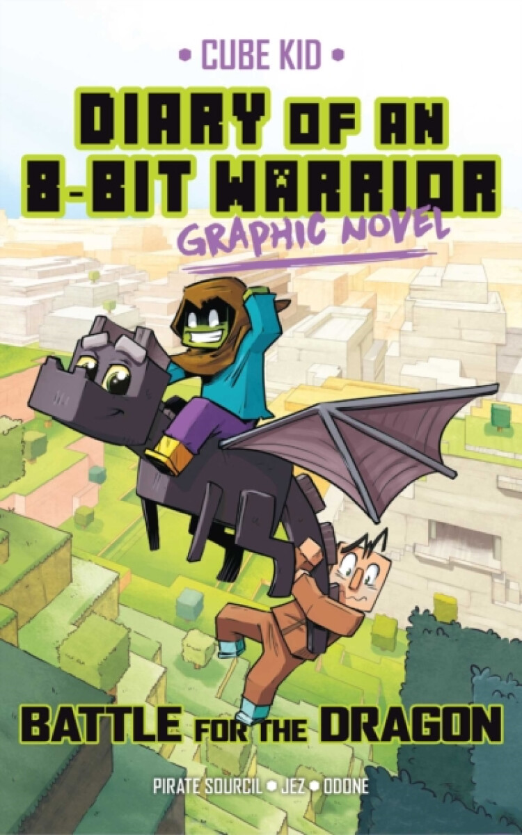 Kniha Diary of an 8-Bit Warrior Graphic Novel