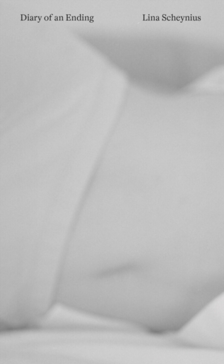 Kniha Diary of an Ending