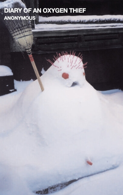 Kniha Diary of an Oxygen Thief