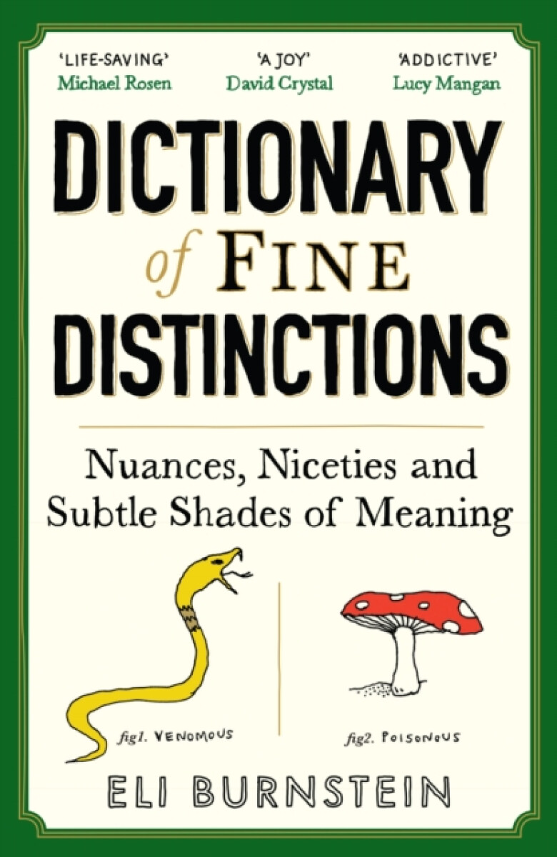 Dictionary of Fine Distinctions - Eli Burnstein