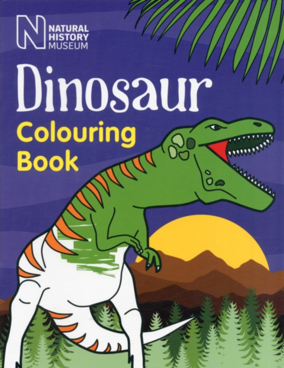Kniha Dinosaur Colouring Book