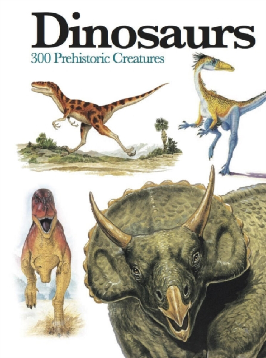 Kniha Dinosaurs