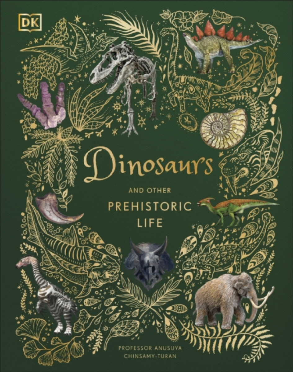 Kniha Dinosaurs and Other Prehistoric Life