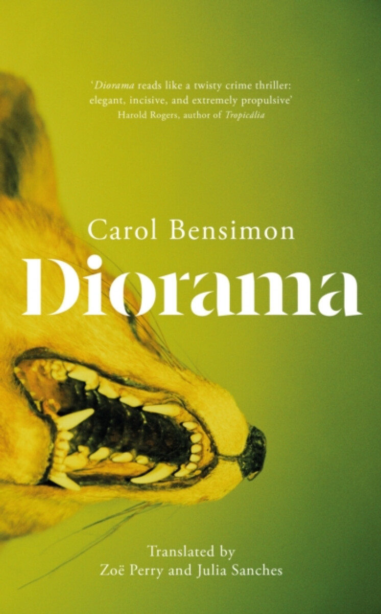 Diorama - Carol Bensimon