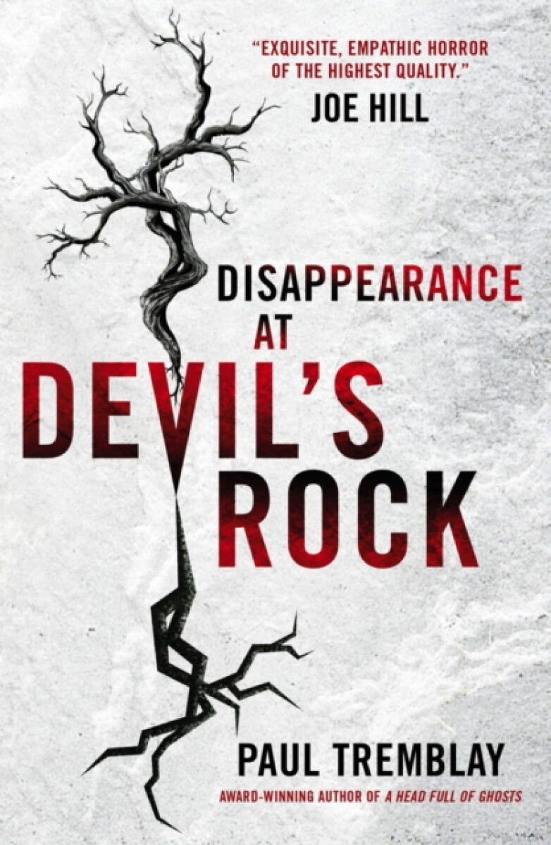 Kniha Disappearance at Devil's Rock