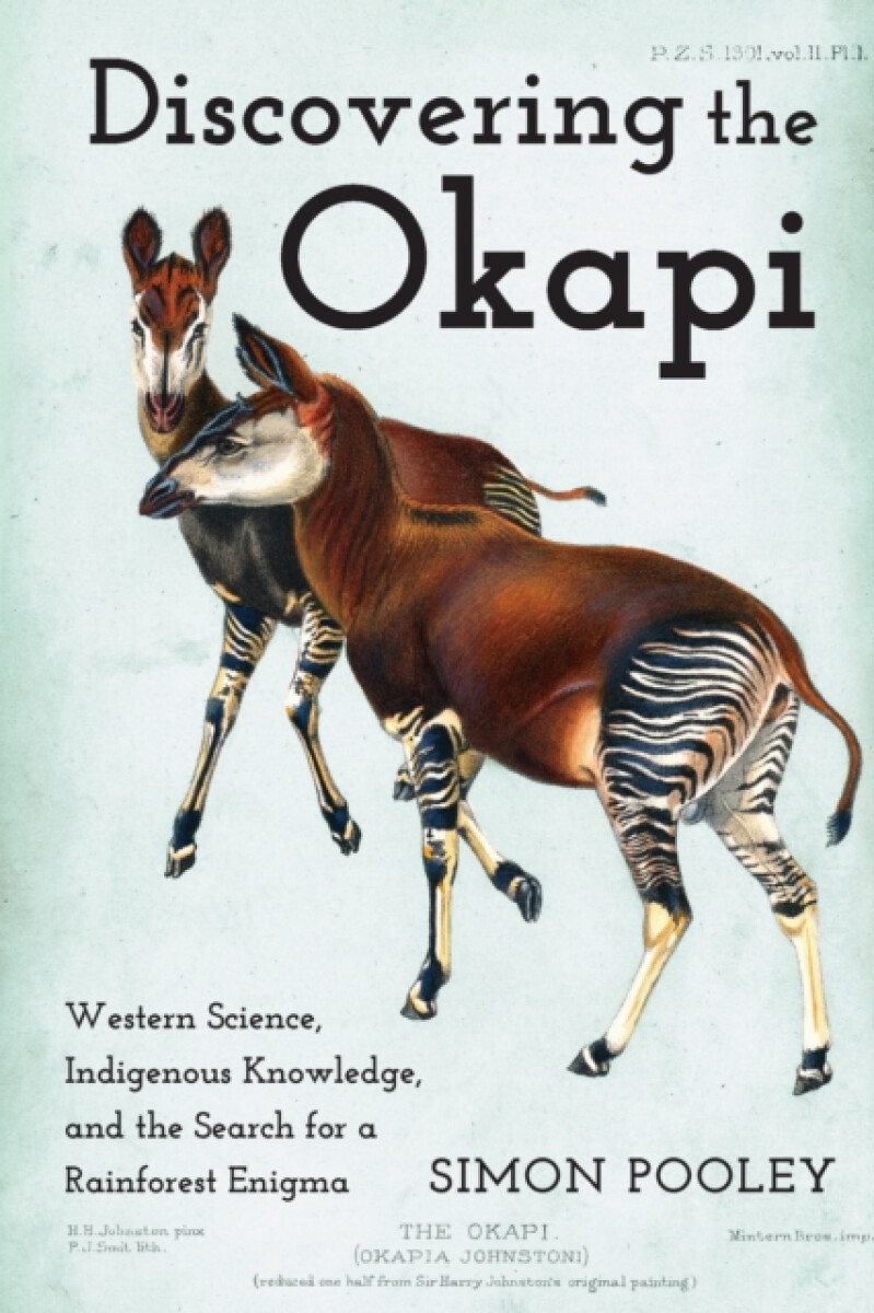 Kniha Discovering the Okapi