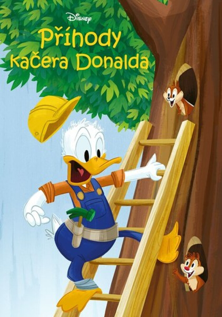 Kniha Disney - Příhody kačera Donalda