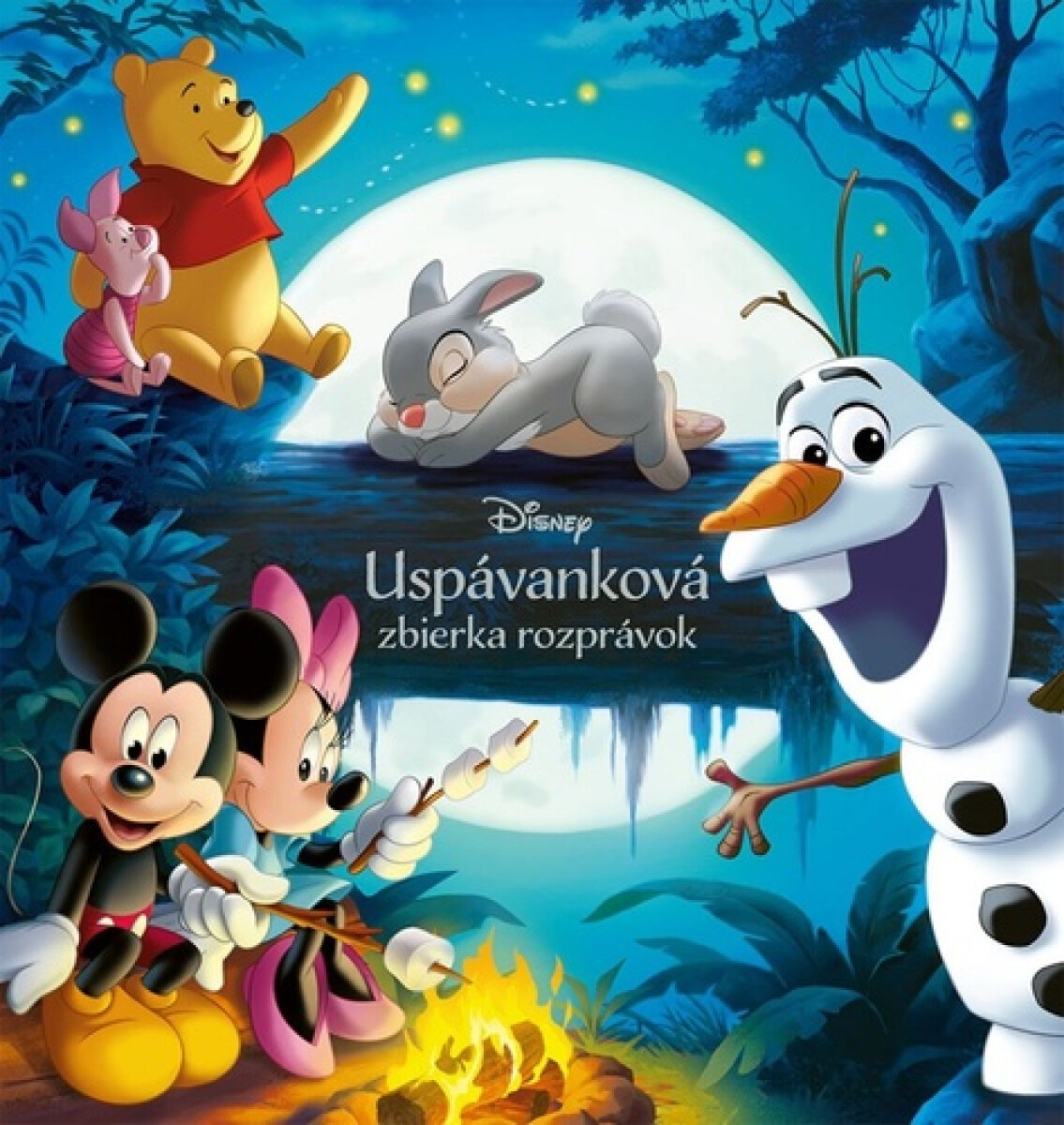 Kniha Disney