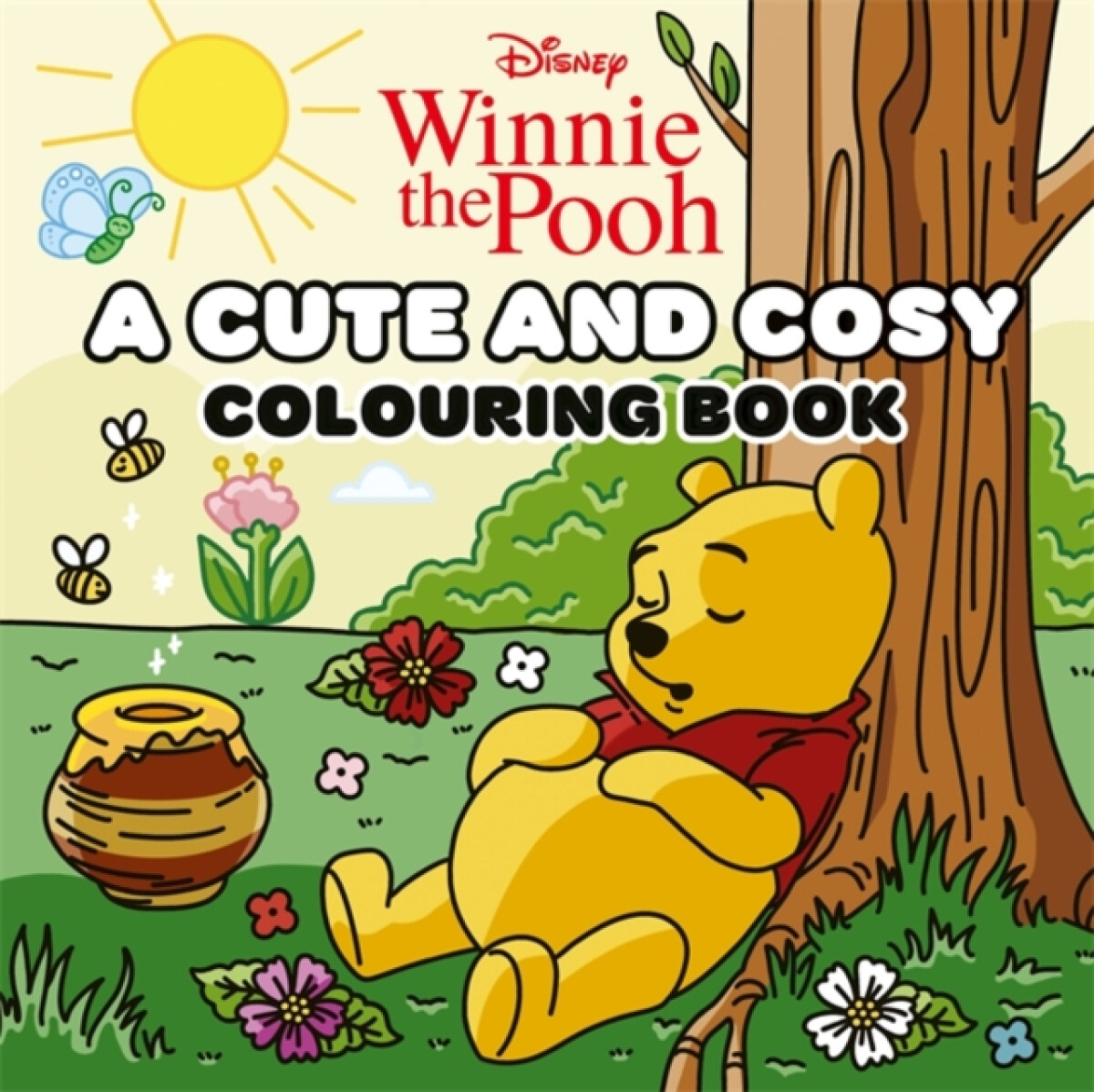 Kniha Disney Winnie the Pooh: A Cute and Cosy Colouring Book
